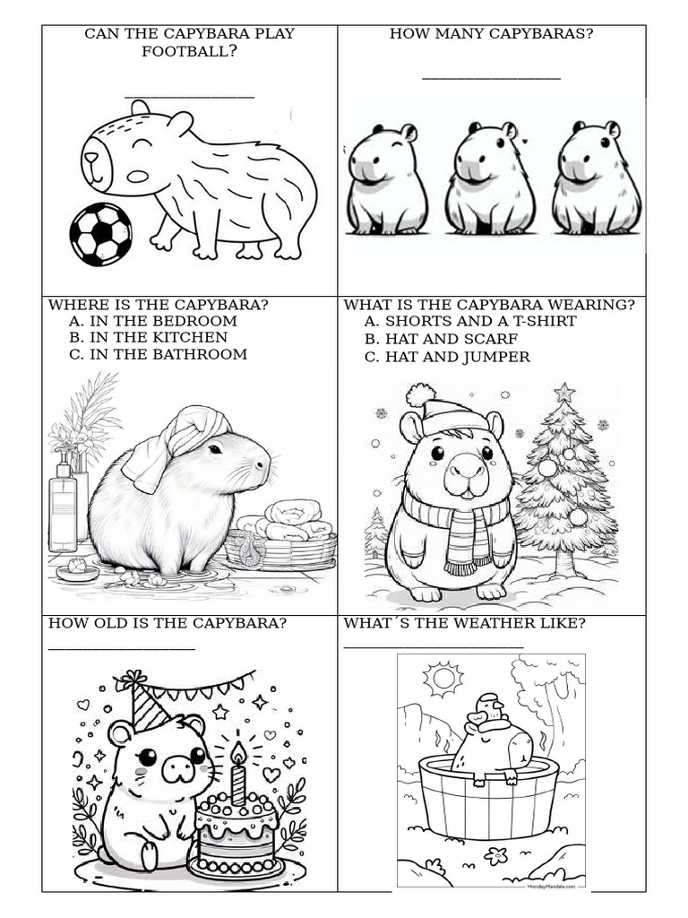 Capybara Questions | PDF