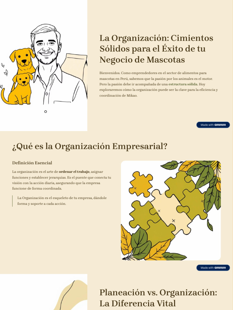 La Organizacion Cimientos Solidos Para El Exito de Tu Negocio de ...