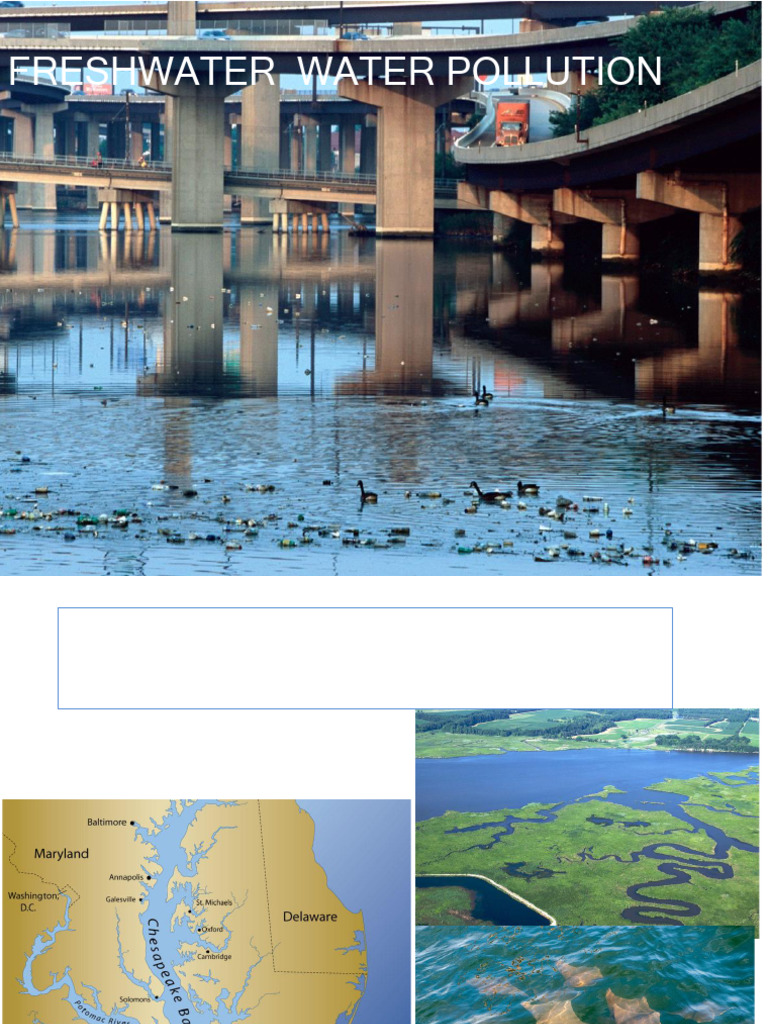 Water pollution | PDF