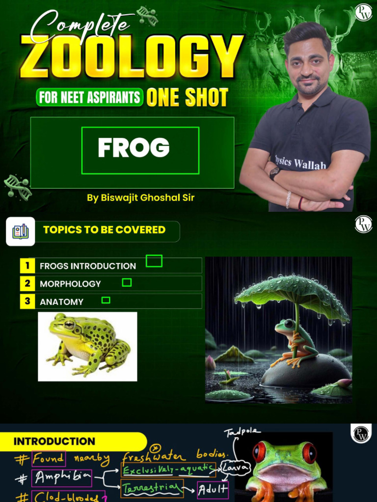 Frog : One Shot || Class Notes | PDF