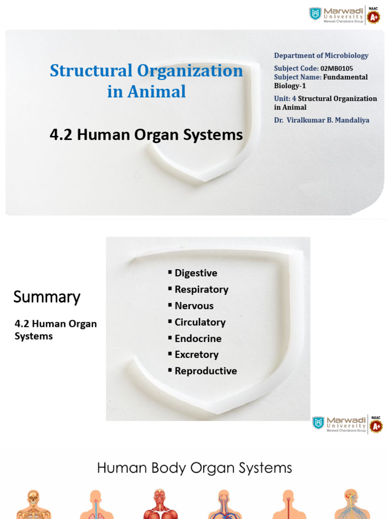 4.2. Human Organ Systems | PDF | Human Body | Gastrointestinal Tract
