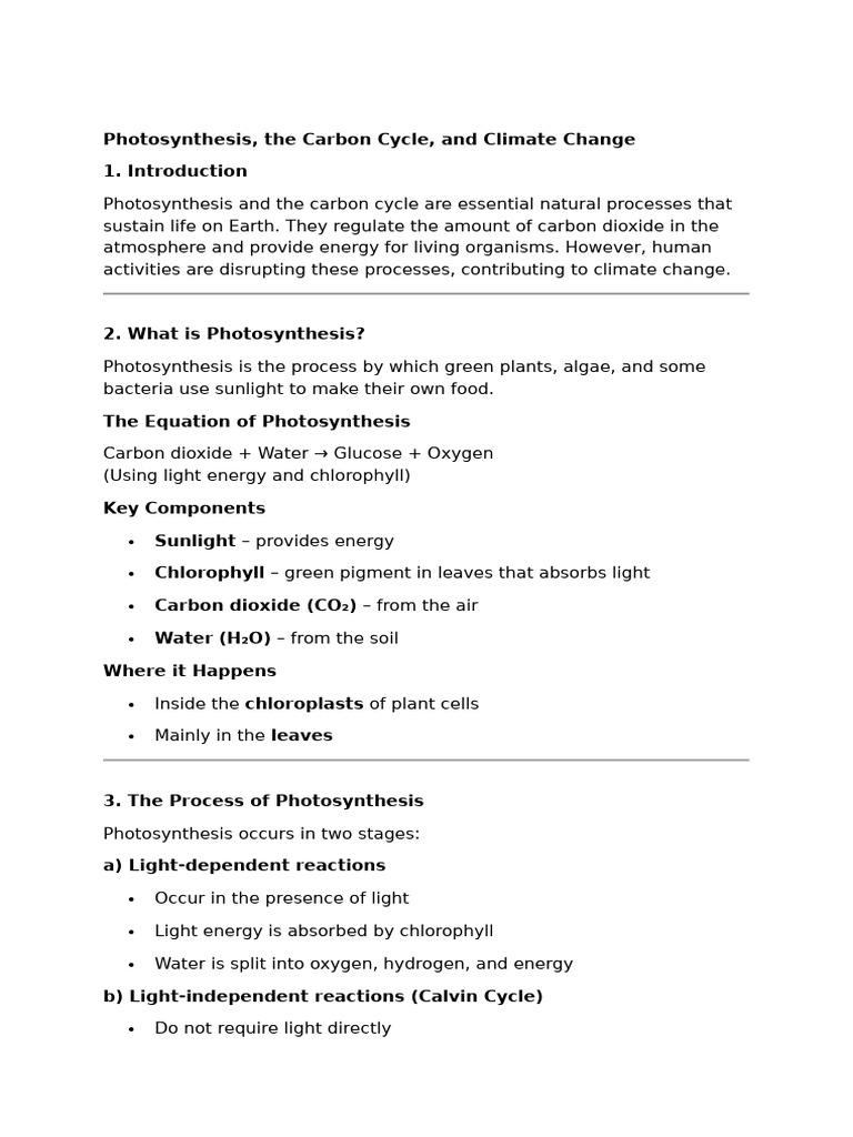 Science Photosynthesis and Carbon Cycle | PDF