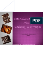Extensive Marketing Mix of Cadbury Schweppes - Task 2