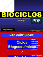 Ecologia - Biociclos