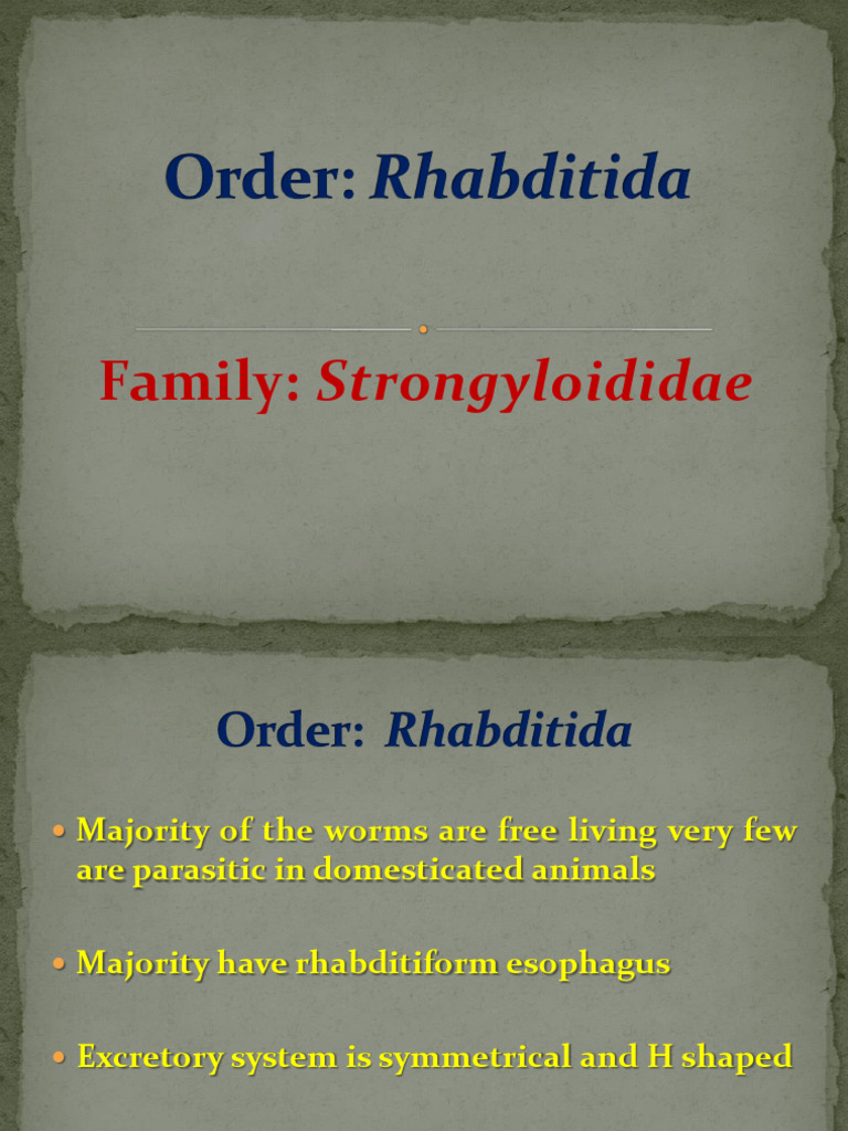 Strongyloides | PDF