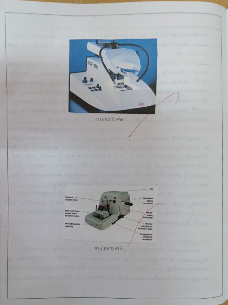 7 Brain Sectioning Types and Application | PDF