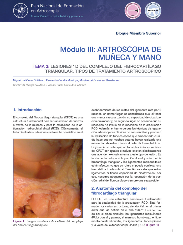Pnfa Bms m3t3Tema 3 | PDF