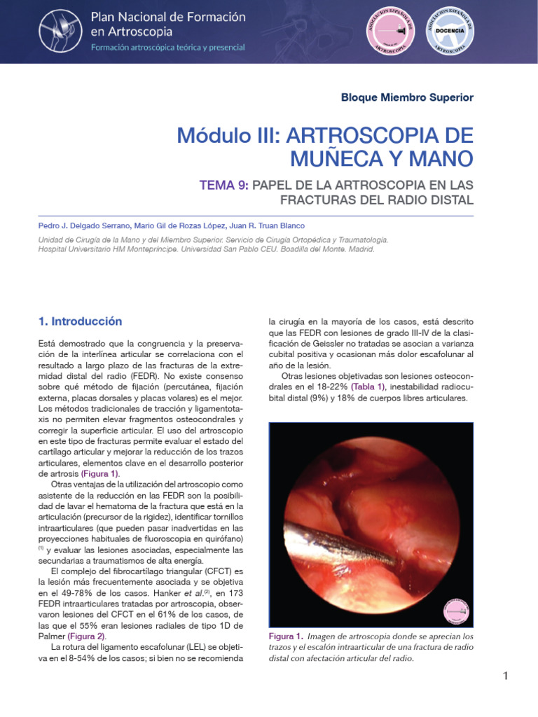 Pnfa Bms m3t9Tema 9 | PDF