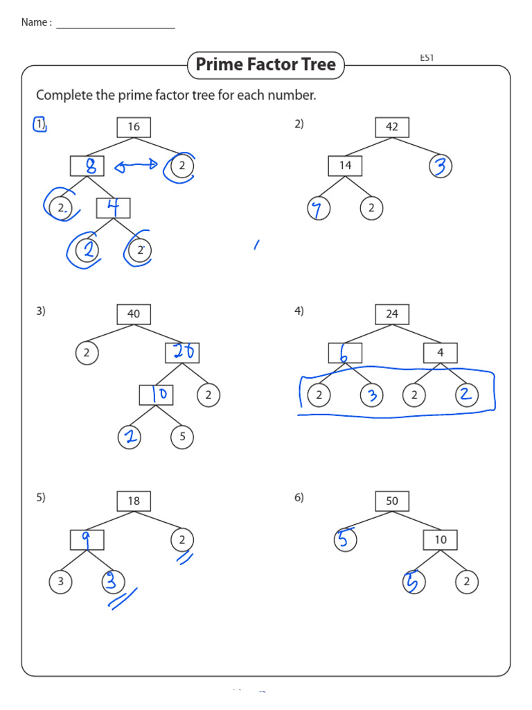 4 Prime Factor Tree | PDF