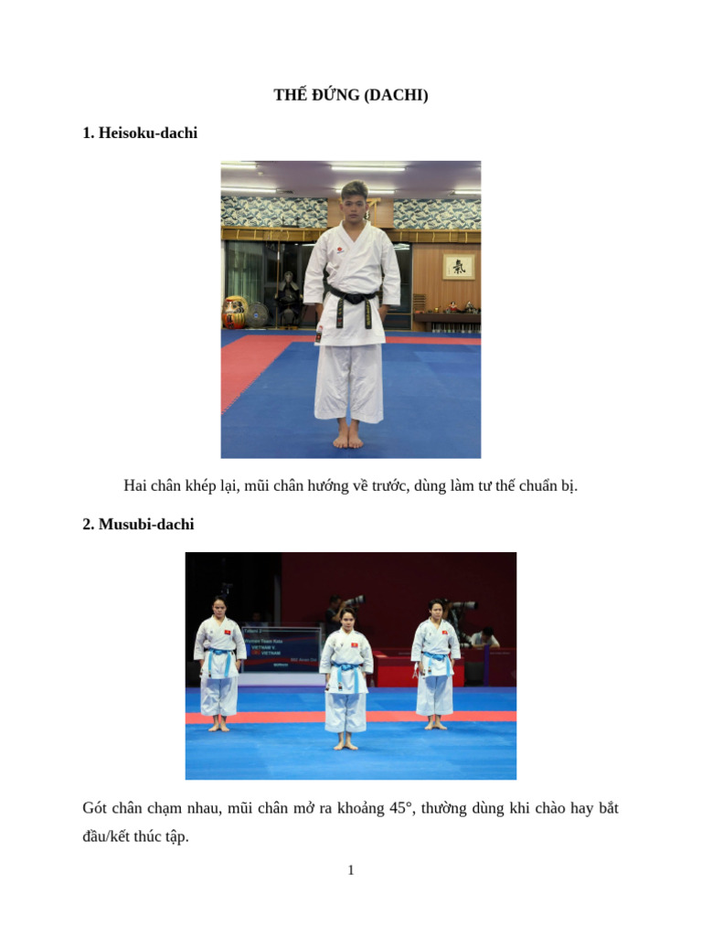 LT Karate | PDF