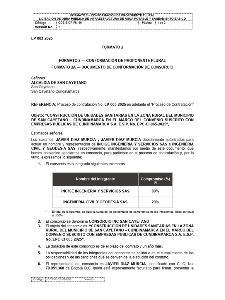 Formato 2 - Conformación de Proponente Plural | PDF