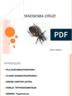 Trypanosoma Cruzi - Seminário