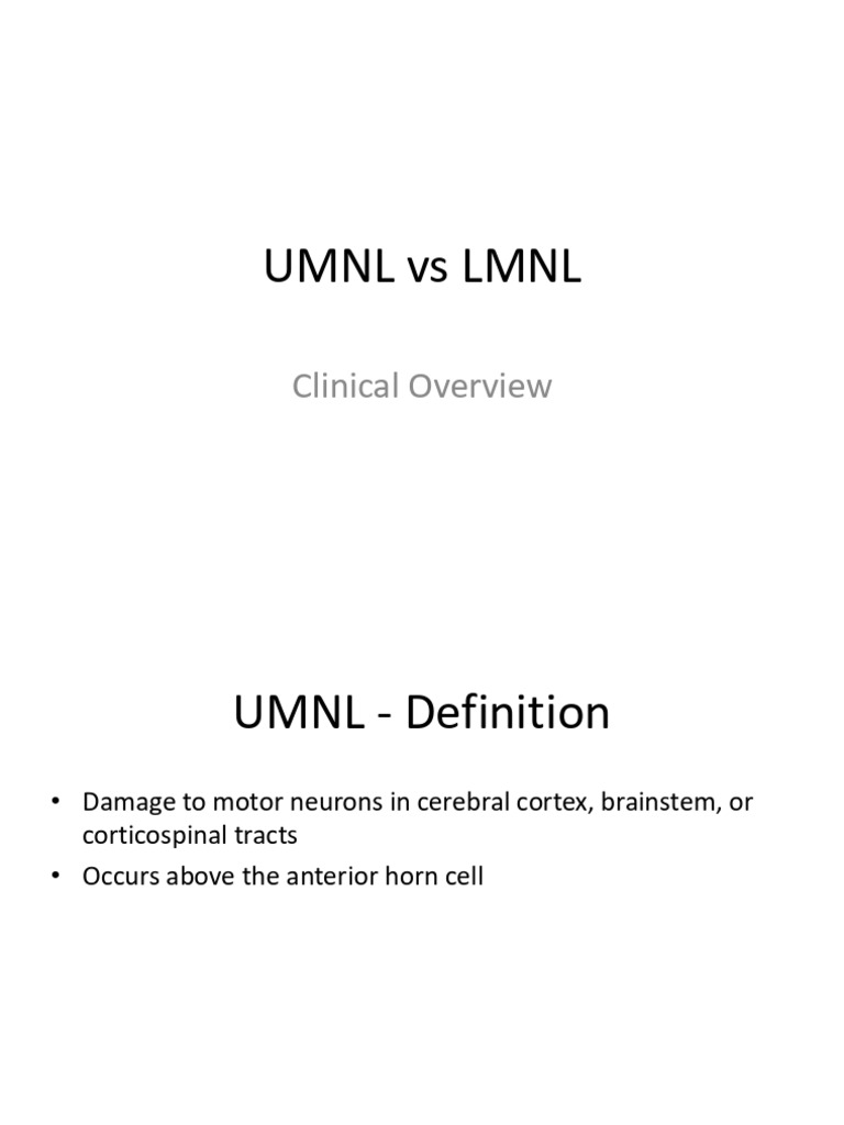 DOC-20260328-WA0029 | PDF