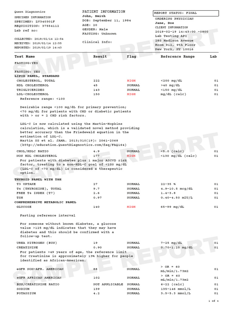 Lab Report | PDF