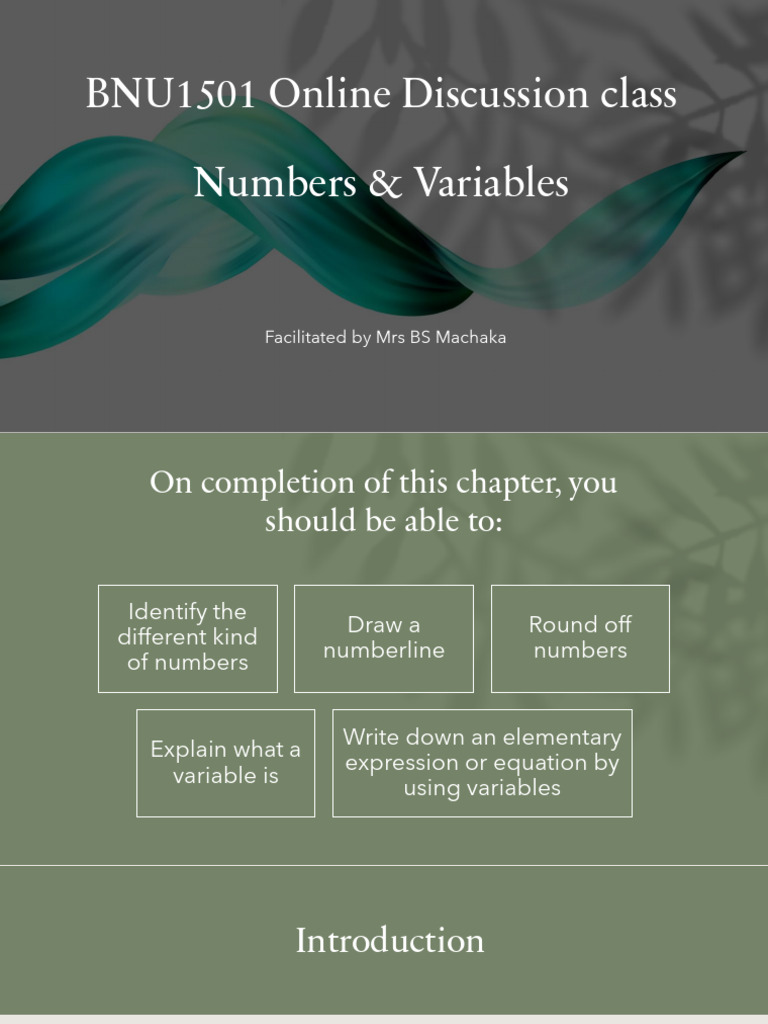 Online Lesson - Chapter 1 (Numbers Variables) | PDF