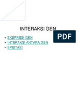 Interaksi Gen