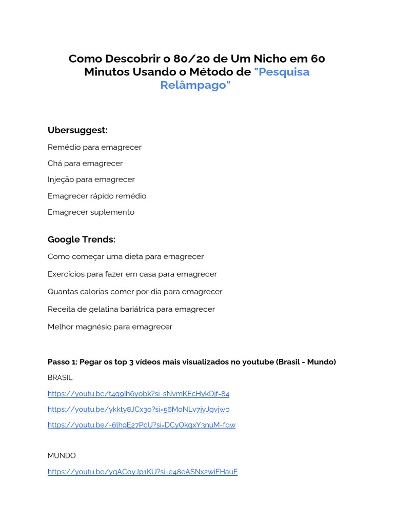 Como Descobrir o 80 20 Do Nicho em 60 Minutos | PDF