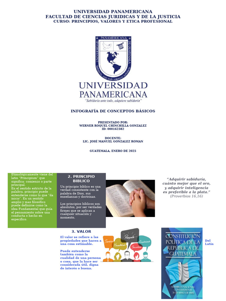 INFOGRAFIA DE CONCEPTOS BÁSICOS | PDF