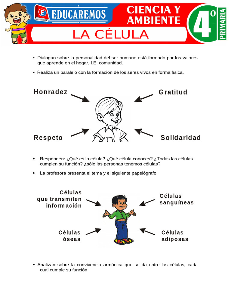 La Celula para Cuarto Grado de Primaria | PDF