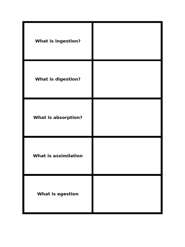 human nutrition flash cards | PDF