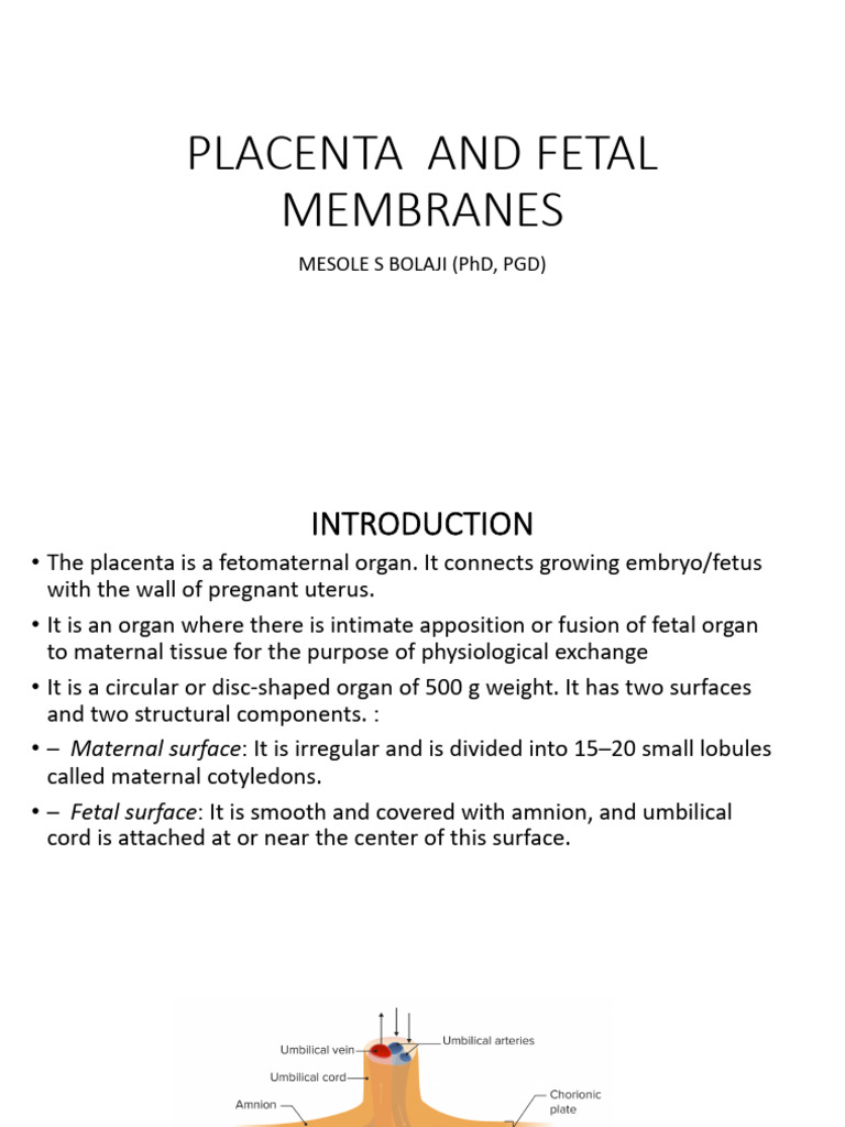 Placenta and Fetal Membranes | PDF | Twin | Placenta