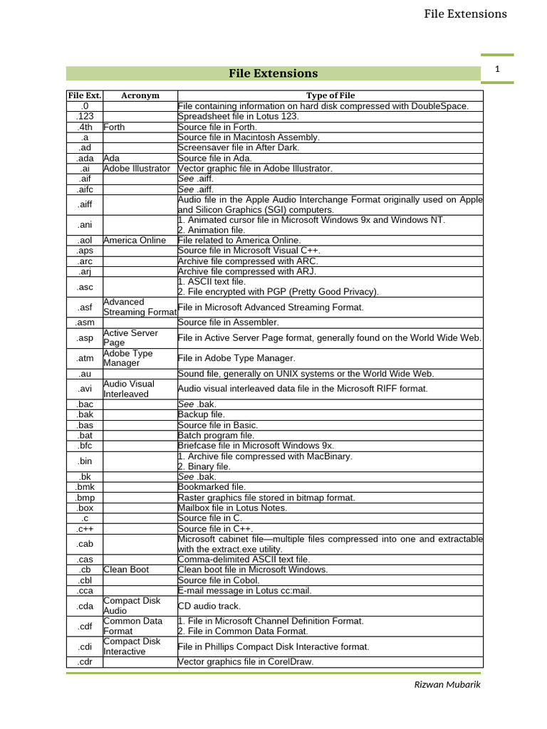 Common File Extensions | PDF | Zip (File Format) | Computer File