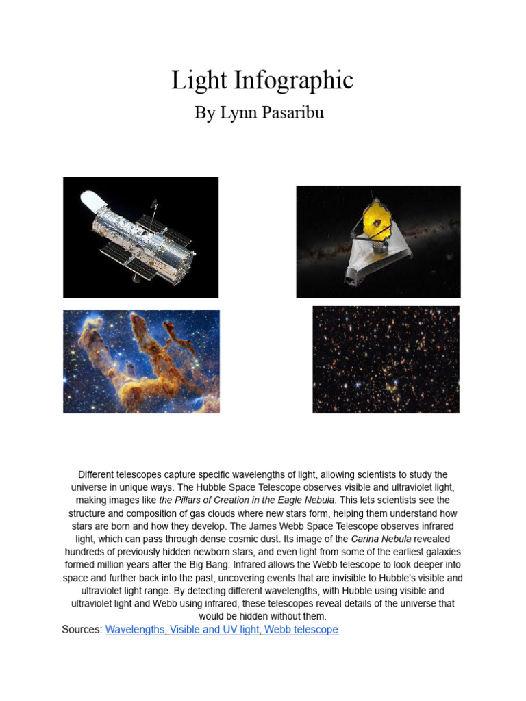 Light Infographic | PDF