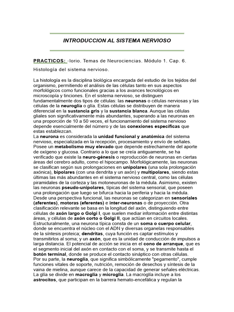 Neuro 1 | PDF | Sinapsis | Sistema nervioso