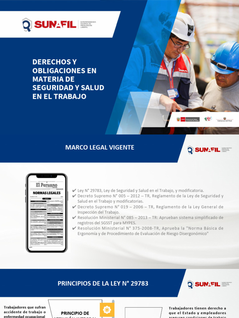 Derechos y Obligaciones en Materia de Seguridad y Salud en El Trabajo ...