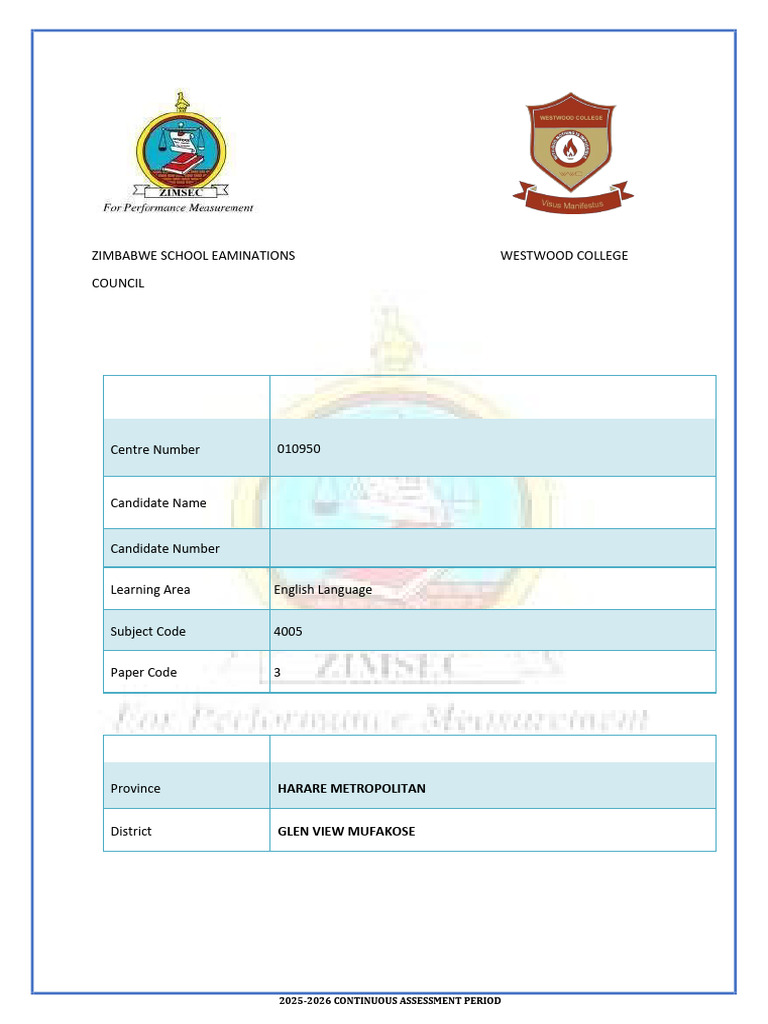 Project Outline Template 1 Update | PDF