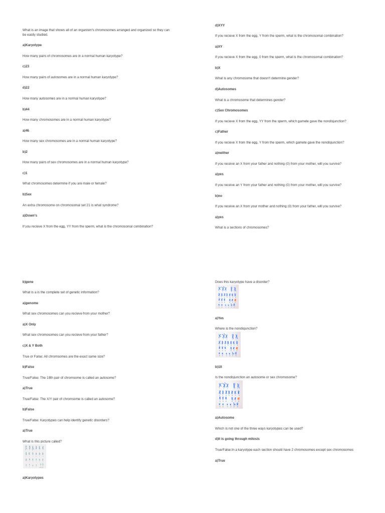 Untitled Document - Google Docs | PDF
