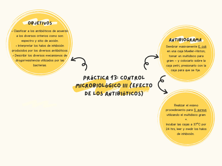 Practica 13 Algoritmo | PDF