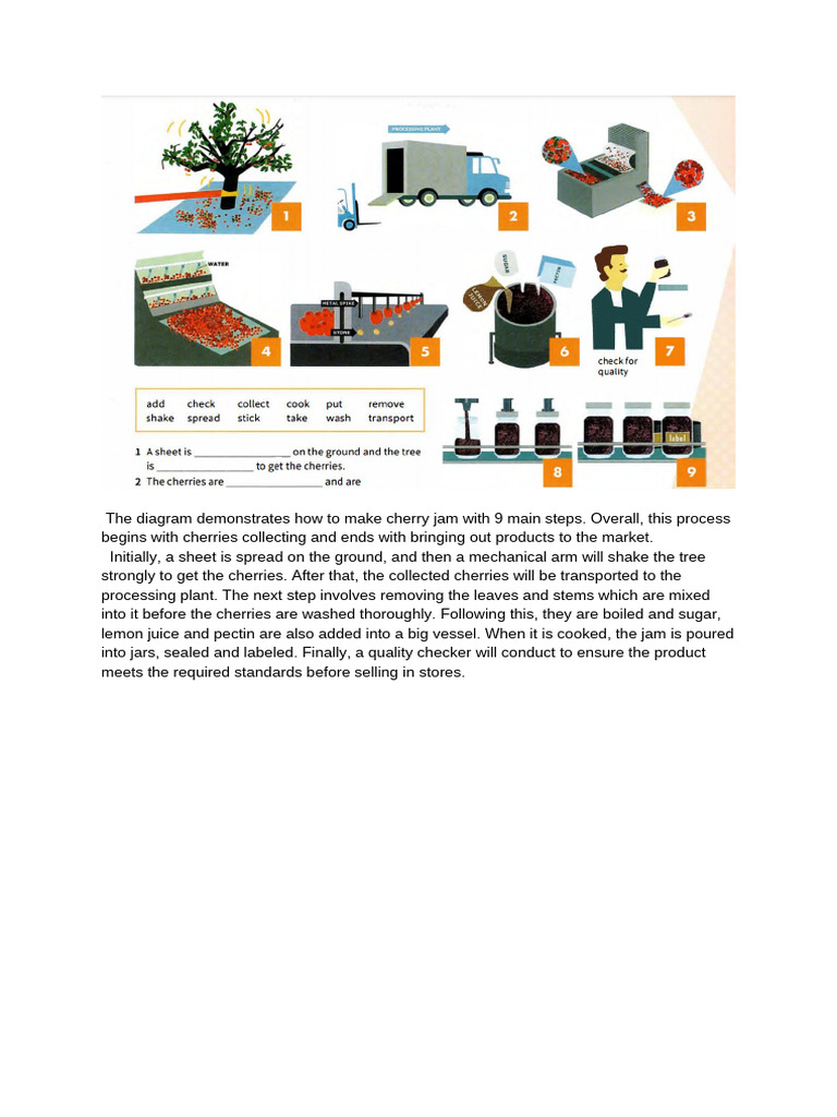 The Diagram_ Cherry Jam | PDF