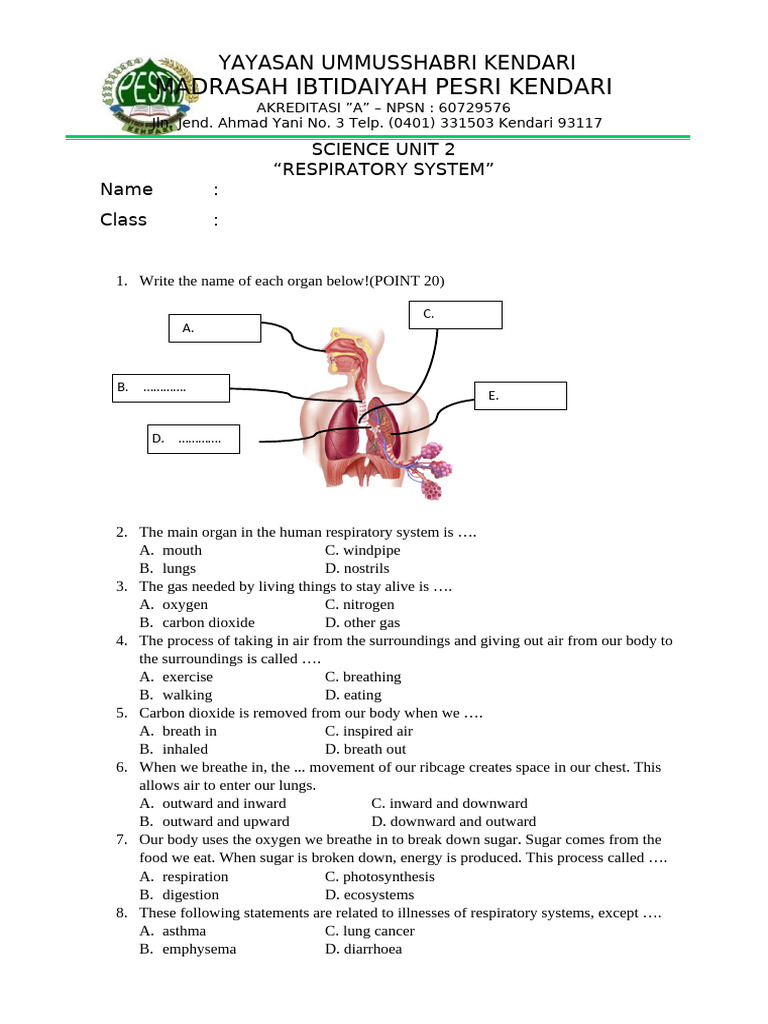 Excercise Unit 2 | PDF | Respiratory System | Breathing
