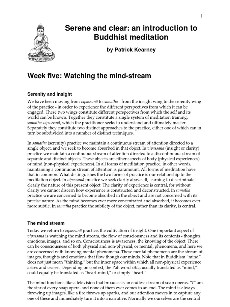 Watching the Mind Stream: An Introduction to Mindfulness Meditation ...