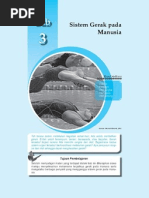 Document 1 | PDF