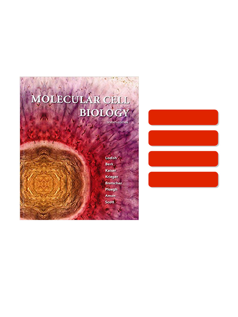 Molecular Cell Biology 7th Edition 2026 free google drive | PDF