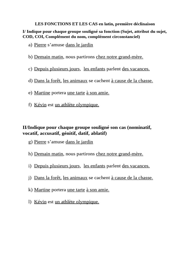 Les Fonctions Et Les Cas en Latin Premiere Declinaison | PDF