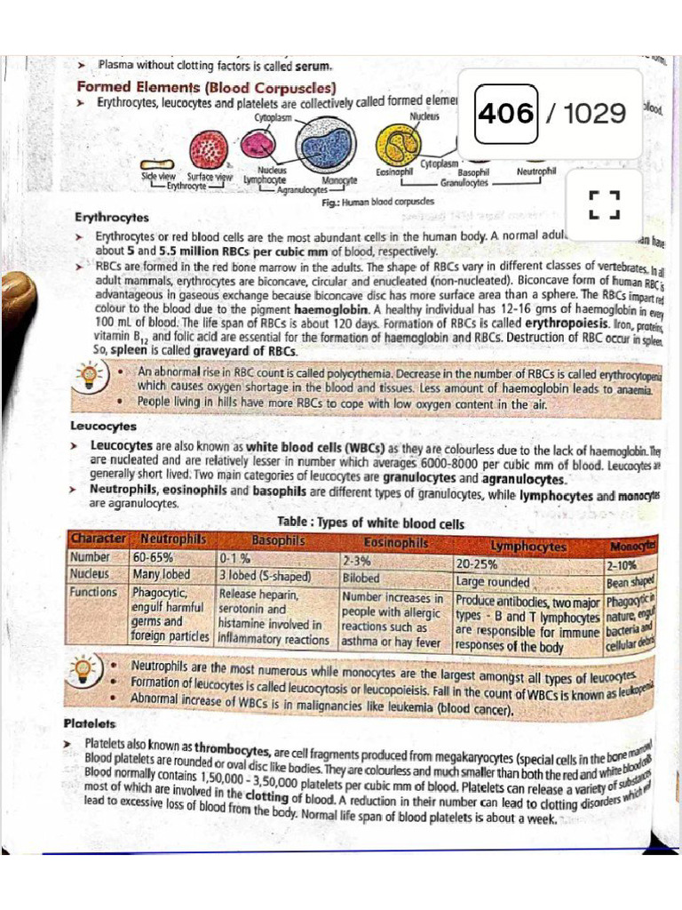 Body Fluid and Circulation | PDF