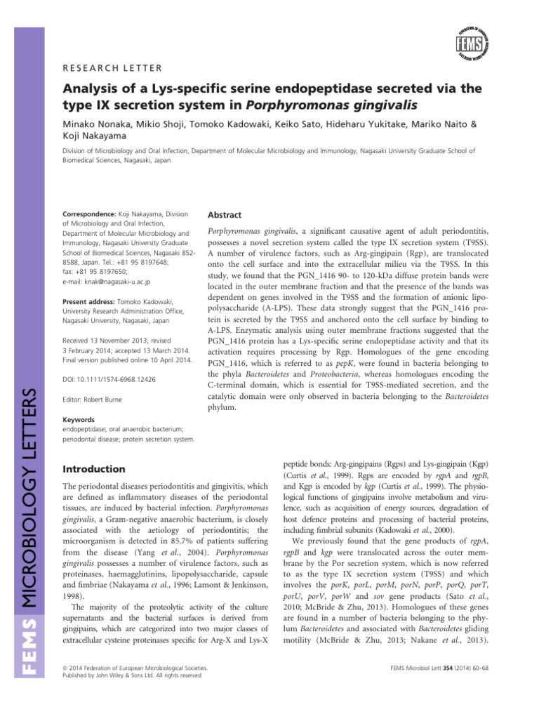 Type IX secretion system in Porphyromonas gingivalis - a research ...