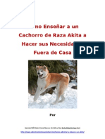 Como Enseñar A Un Cachorro de Raza Akita A Hacer Sus Necesidades Fuera de Casa