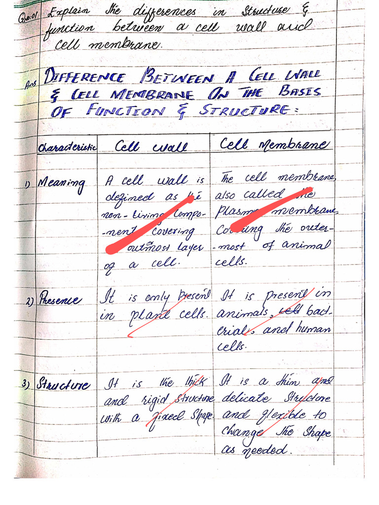 Assignment GS Copy | PDF