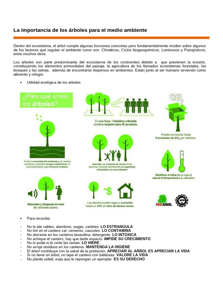 2 La Importancia de Los Arboles para El Medio Ambiente | PDF