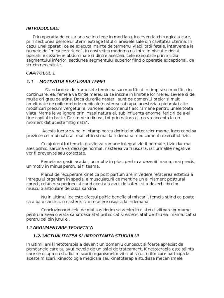 Model Licenta | PDF