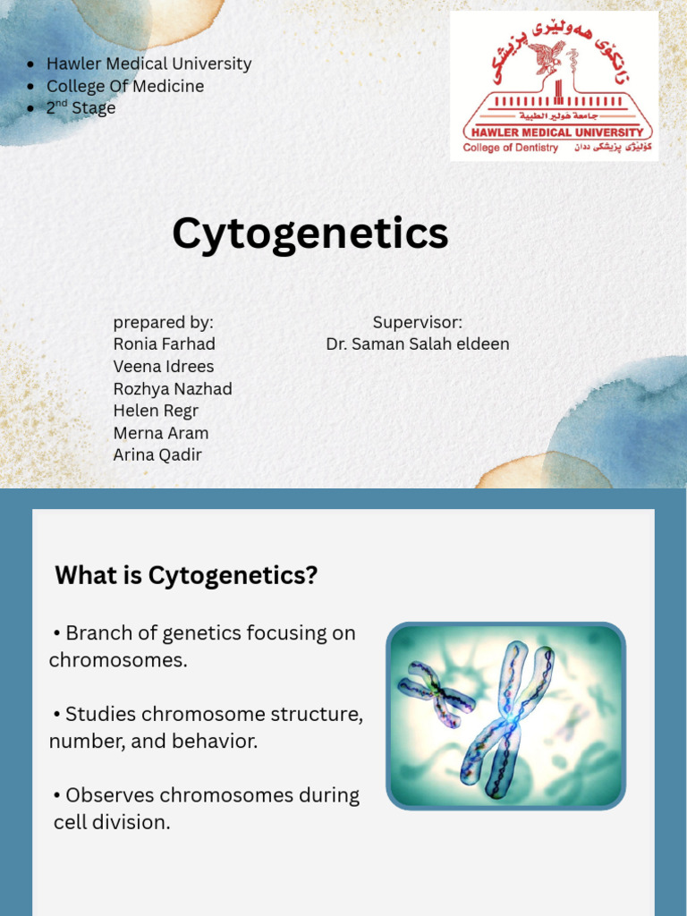 Cy to Genetics | PDF