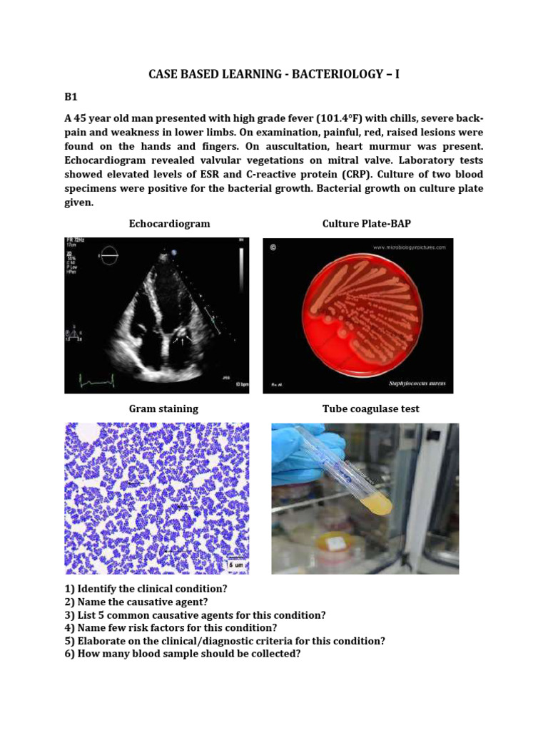 charts- Bacteriology | PDF