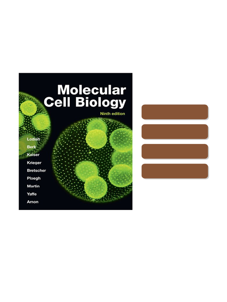 Molecular Cell Biology 9th Edition Harvey Lodish Full Ebook