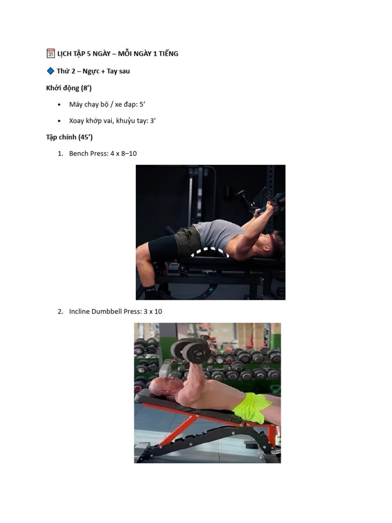 Gym | PDF