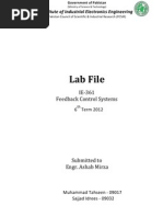 Lab File: Institute of Industrial Electronics Engineering