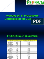 Certificacion Guatemala